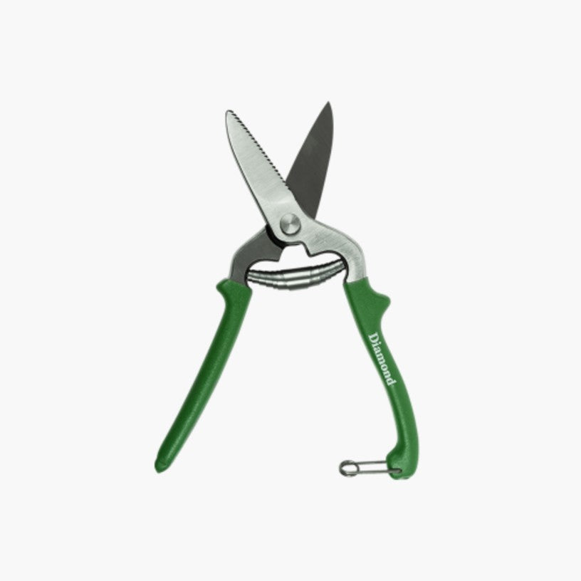 Farrier.mx