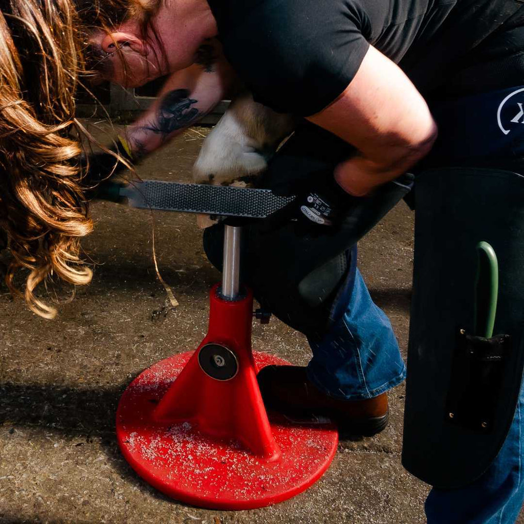 Farrier.mx