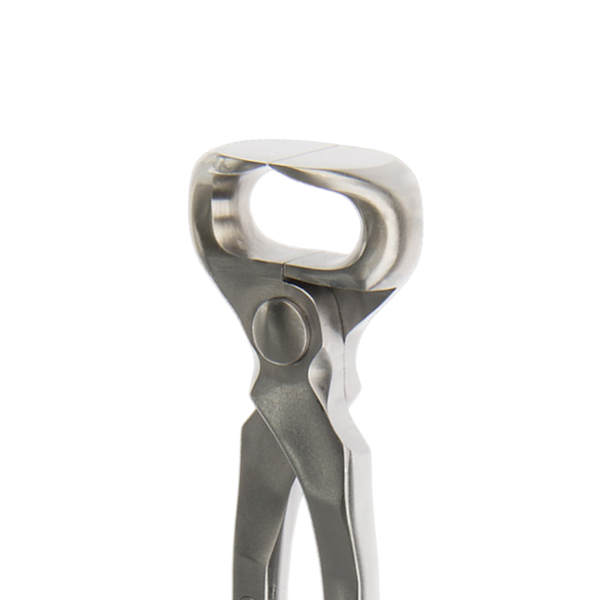 Farrier.mx