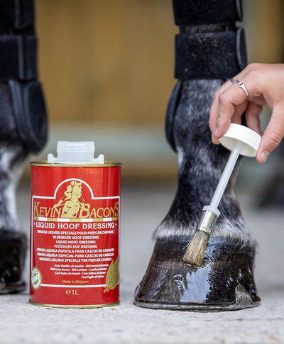 Farrier.mx