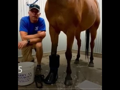 Farrier.mx